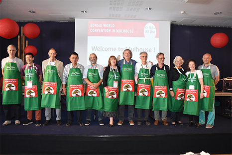 Bonsai artists from France and around the world, demonstrated their talents on trees of considerable size and complexity.